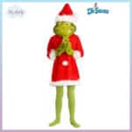 გრინჩის ფორმა აქსესუარებით